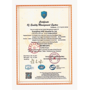 ISO 9001品質管理システム認証書2()1