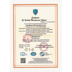 ISO 9001品質管理システム認証書2