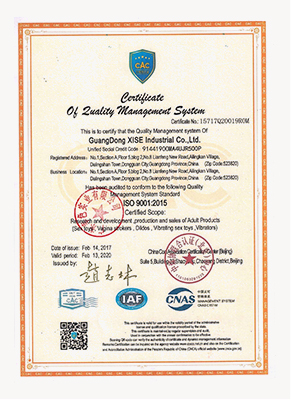 ISO9001质量管理体系认证书2()1(图1)