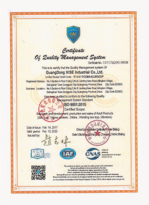 ISO9001质量管理体系认证书2(图1)